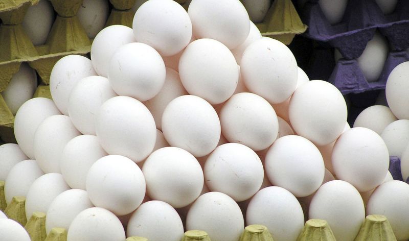 تخم‌مرغ به قیمت عادلانه از تولیدکنندگان خریداری نمی‌شود/ مرغداران ناچار به کاهش تولید خواهند شد