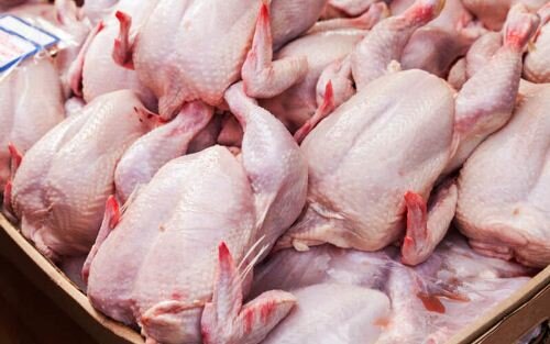 تولید ۳۴ هزار تن گوشت مرغ در واحدهای مرغداری استان قزوین