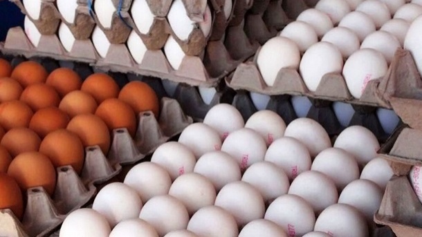 قیمت تخم‌ مرغ در بازار کاهش یافت
