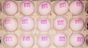 تخم مرغ فاقد لیبل مورد تایید دامپزشکی نیست