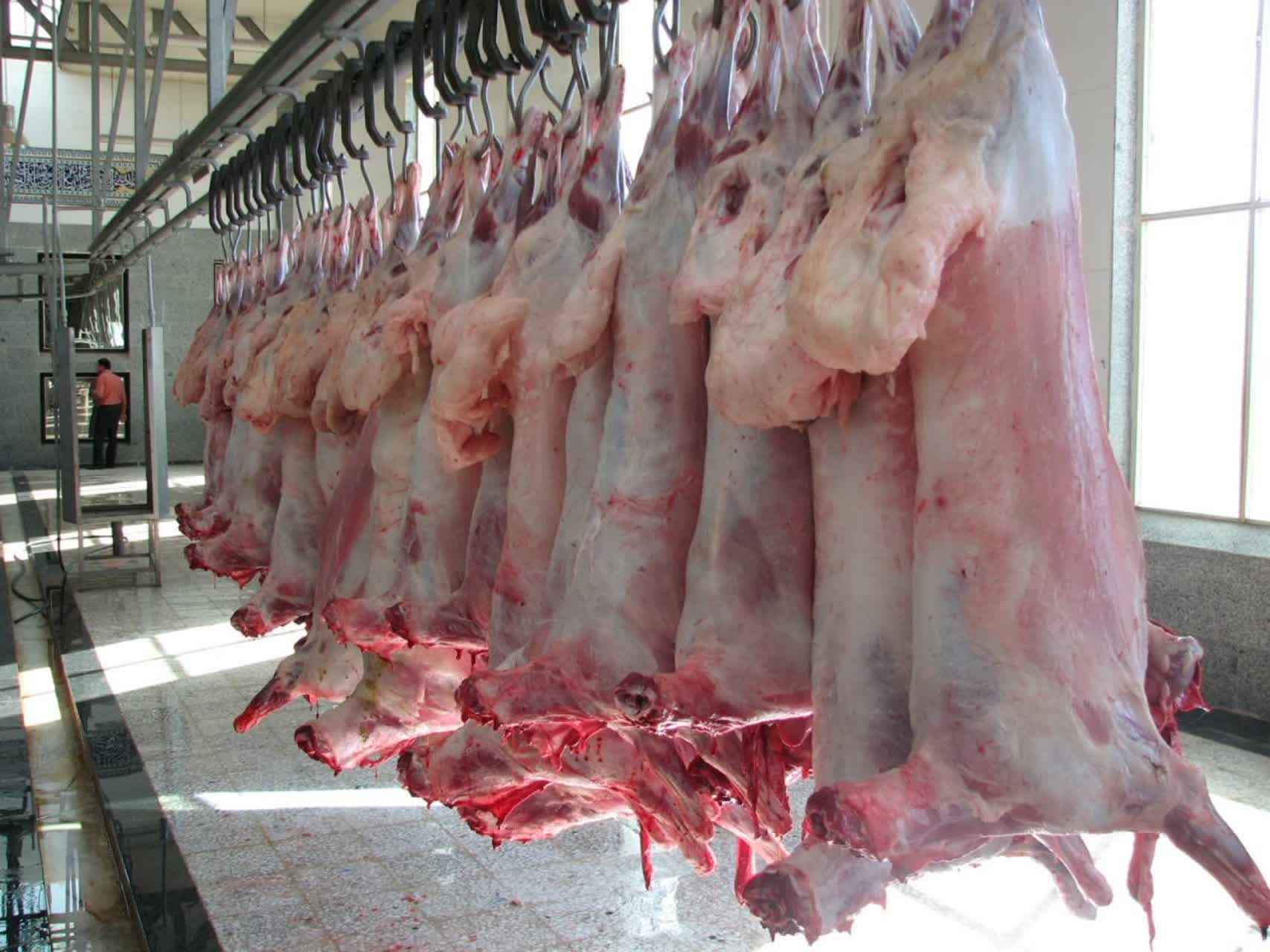 تولید بیش از ۲۷۰۰ تن گوشت قرمز در استان قزوین