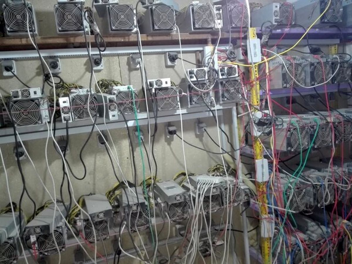 گلخانه استخراج ارز دیجیتال در قزوین کشف شد