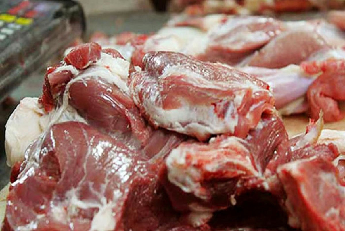 آغاز توزیع گوشت گرم وارداتی از هفته آینده